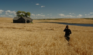 The house behind the wheat.